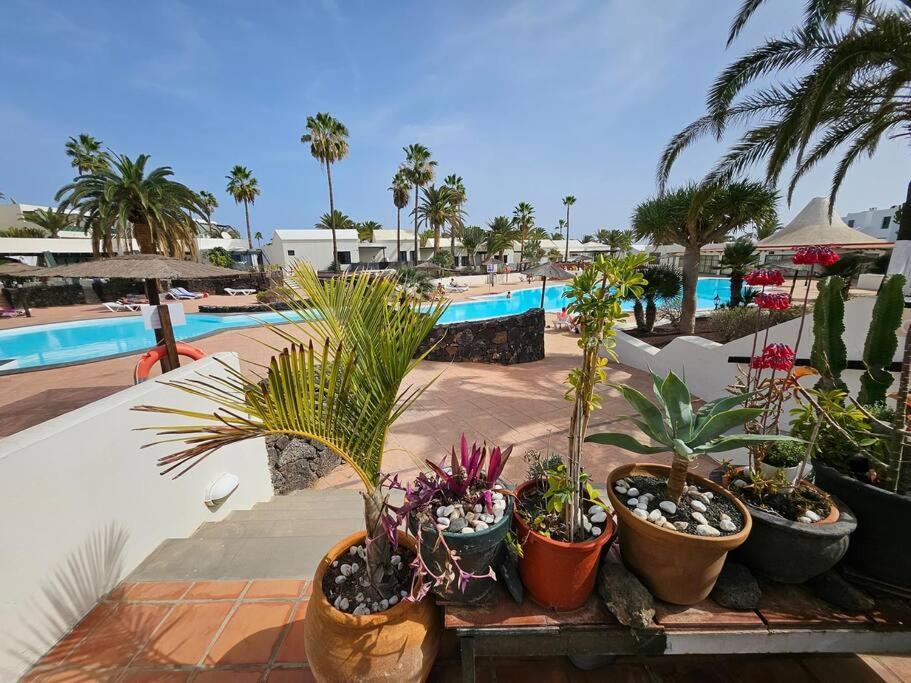 Apartamento Taisa Playa Roca Costa Teguise Exteriér fotografie